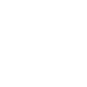 advantage icon